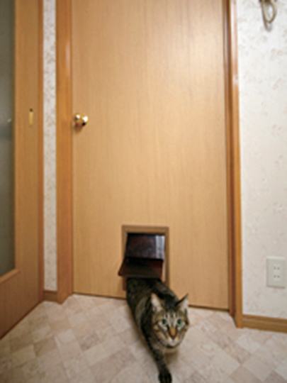 施工後の【ドア】です。<br />
特に自由に動き回りたいネコちゃんにはうれしい、くぐり戸付きのドアを採用しました。<br />
ロックもできるので、来客の時など、プライバシーを守ることができます。<br />
今回のリフォームで、ペットも快適に生活できる家になりました。