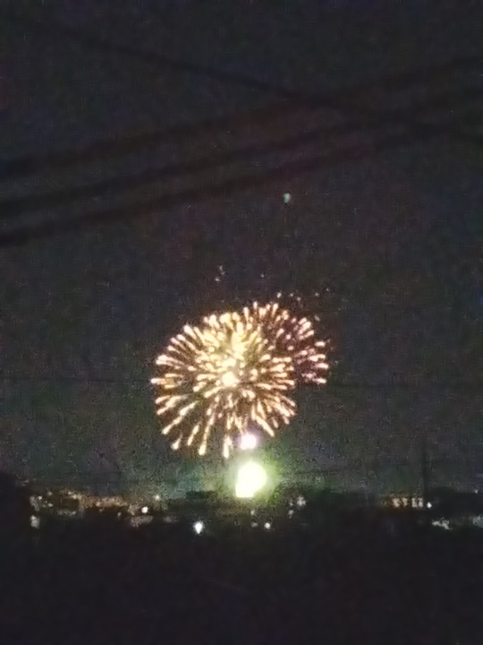 夜空を彩る花火大会