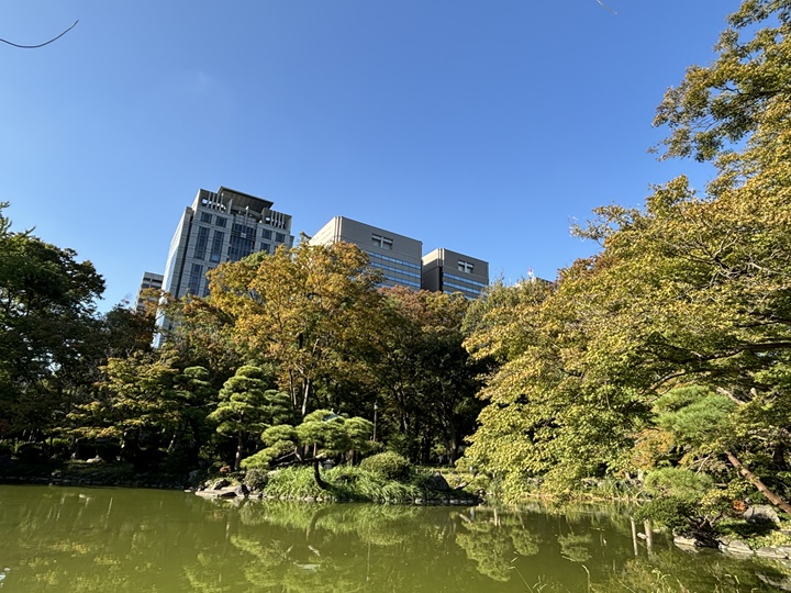 都内をウォーキング散歩してきました！