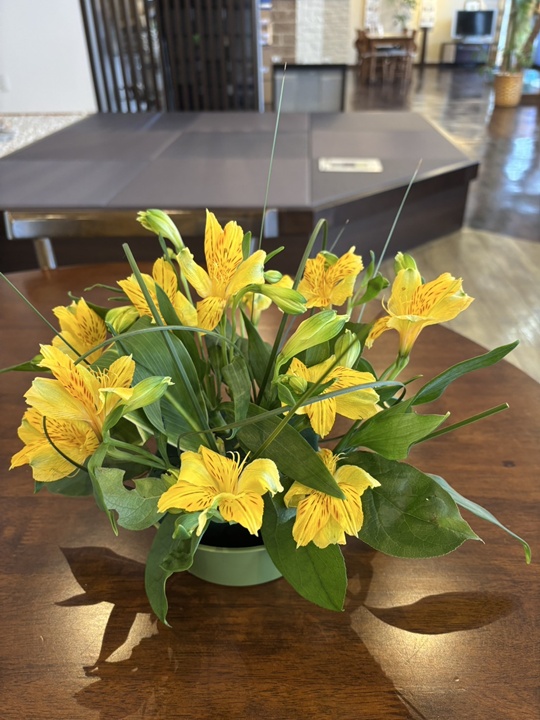 色鮮やかなアルストロメリア！