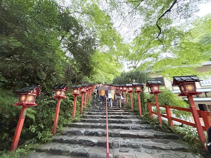 青もみじと苔寺巡りに行ってきました
