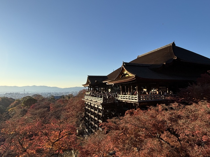 京都の紅葉を観てきました