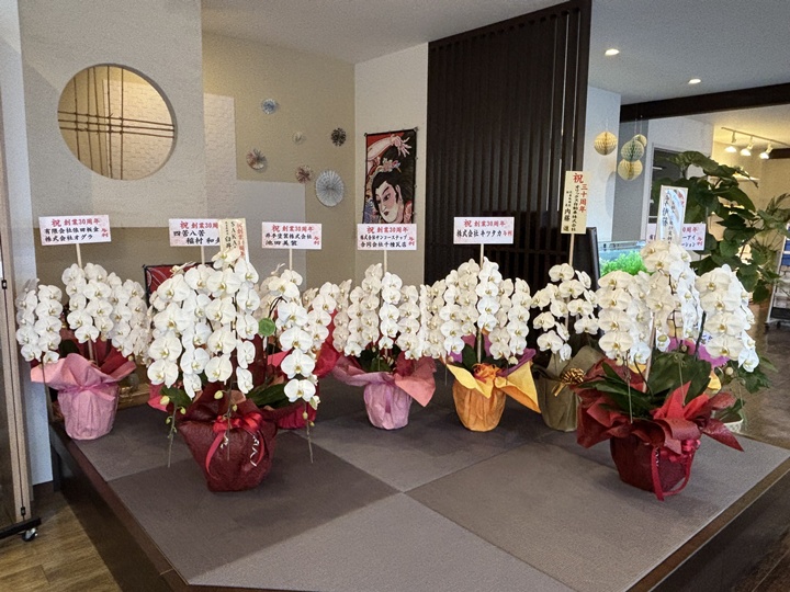 沢山のお花や観葉植物で華やかな雰囲気に